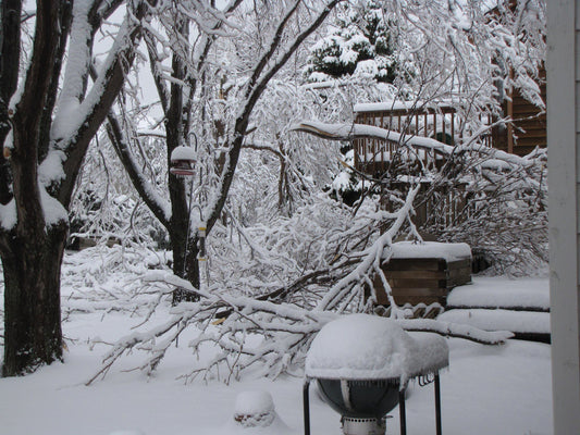 Grilling Safety In The Winter